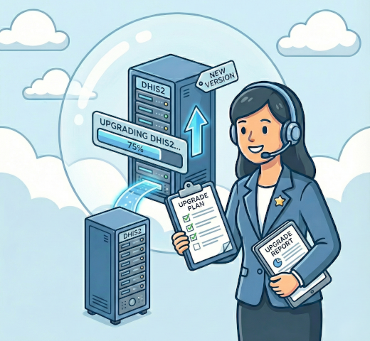 DHIS2 upgrade assistance